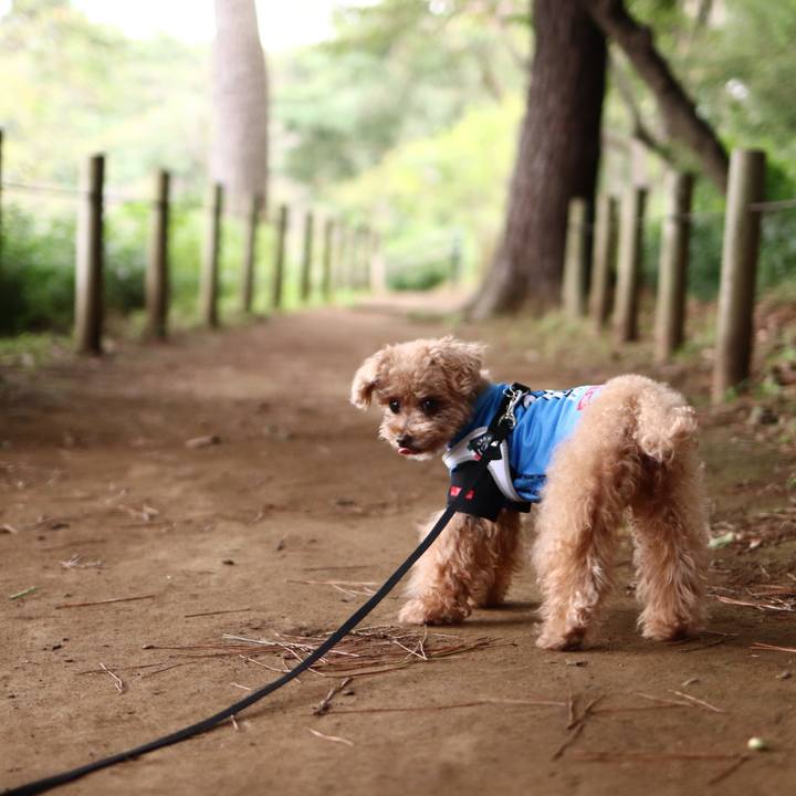 De667aee 7540 4ff5 b5a0 1f1ec0617d3d 1604844153797