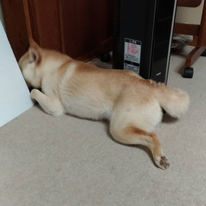 De66d080 ccda 4e75 80de d59ef97c0f78 1528584676606