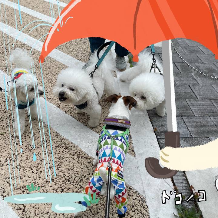 De66dbbd afcb 4980 a215 888e058bf147 1749523614999