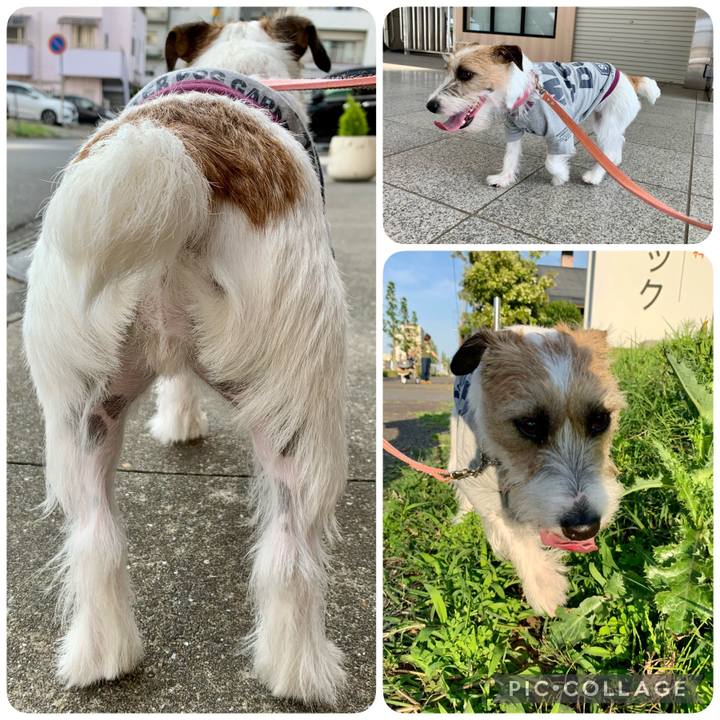 De66f9b1 5ee8 40b0 835e 3856b65e0640 1622291825076