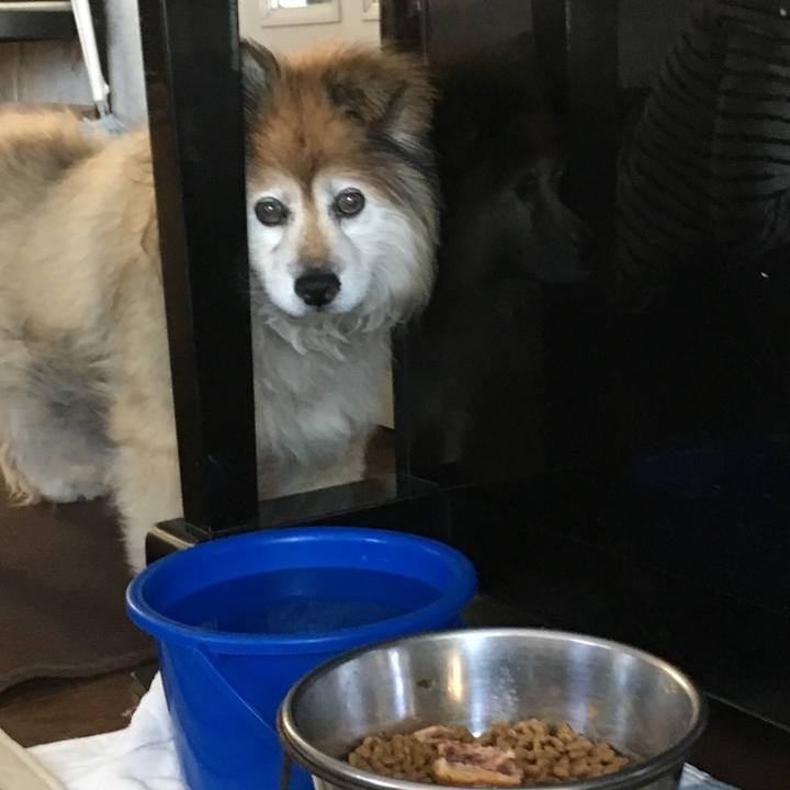 De6717fb 1bfe 43bf a6a9 1633cce5b77e 1607102264777