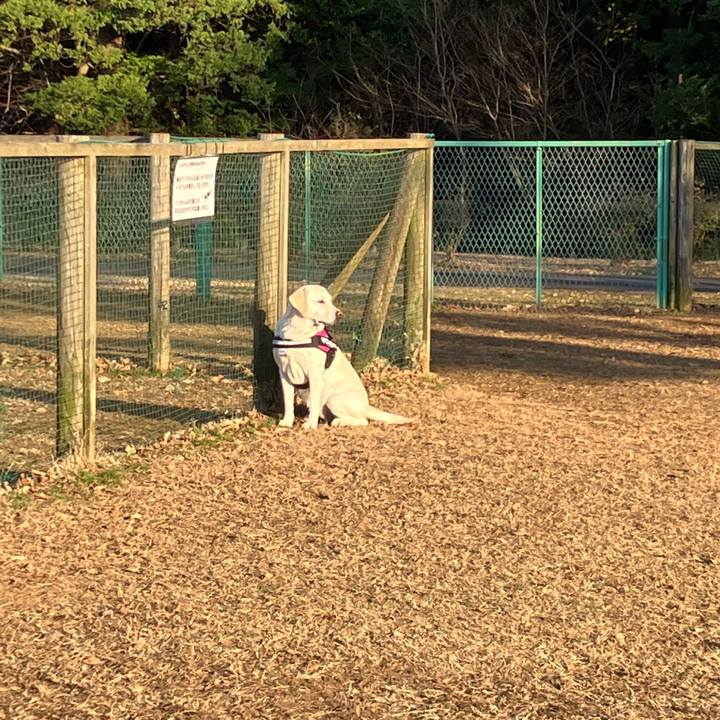 De672456 ebf7 4c07 8405 9fc06cadb8c9 1672225434137