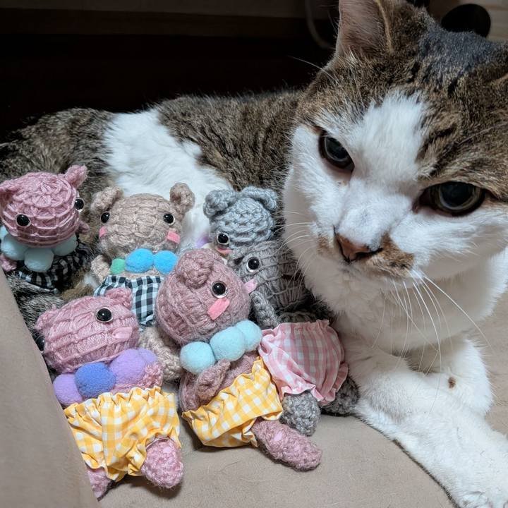 De673391 1962 4783 991e bc705f87e7a6 1785442365600