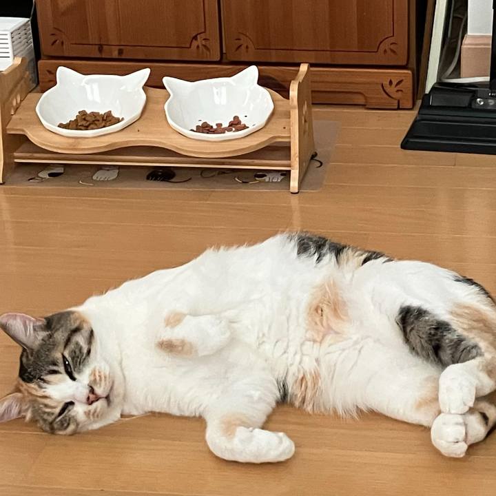 De674678 e56c 4f91 bb7f de36a1446c70 1760871896556