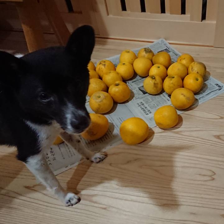 De67513e a11f 4970 a438 fe58f77c0bd8 1591878530308