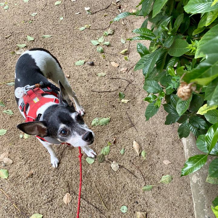 De679ece d732 47c6 bd8e 48e82f667ef0 1628462215041