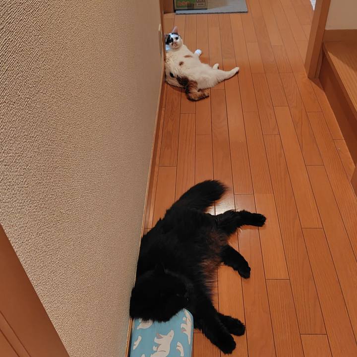 De67b6fd 17fc 434f be2e 778f38c537aa 1753267022689