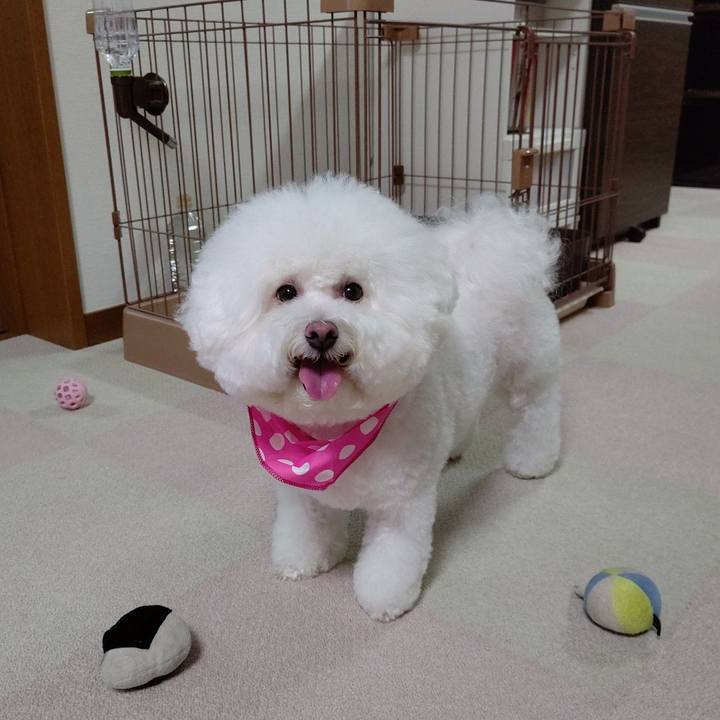 De67d1cc bf4e 4a6c 81f5 81ffa547888d 1632828988023