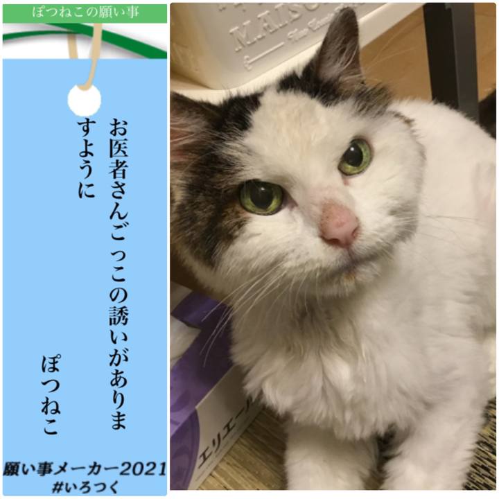 De67fb65 2234 4884 8986 dea6741565b4 1625639679319