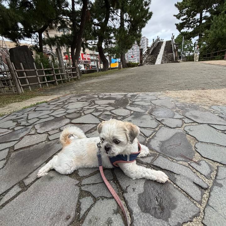 De68b880 d936 47dd 848e b752162be990 1758316795332