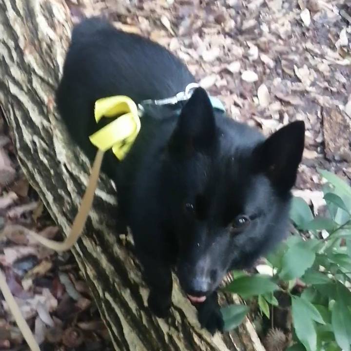 De68d551 78e6 42e0 83e5 08dec26d838d 1665185458037