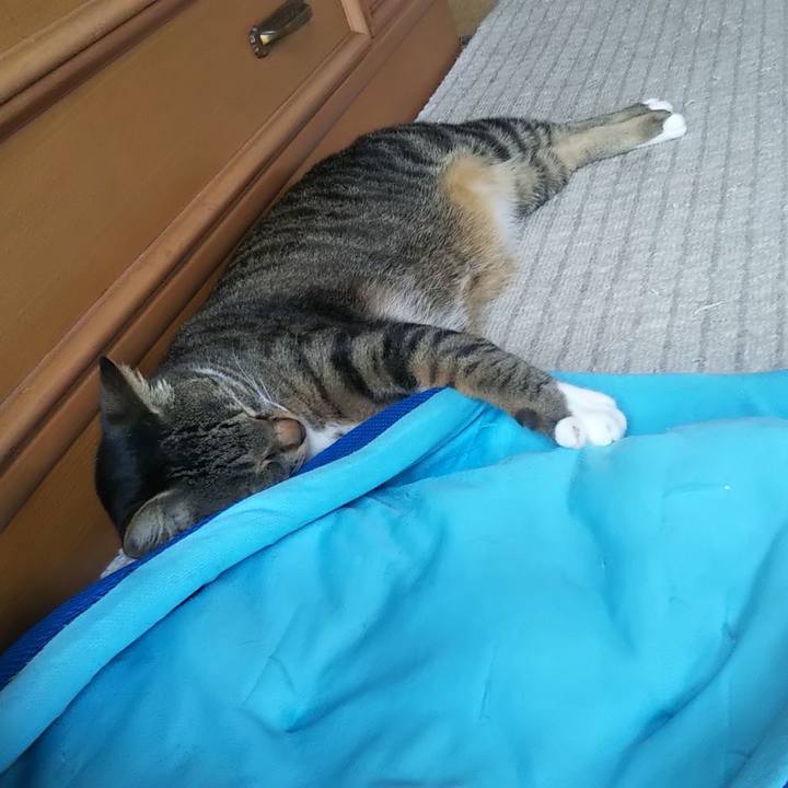 De68dd15 8384 4193 bd82 15e341cec1fc 1624506718807