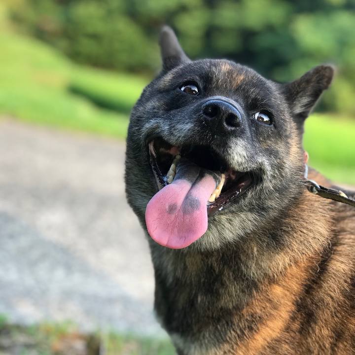 De69097b fd97 42a3 9b19 045b12b4f437 1563966752288