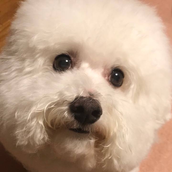 De6920bc e7d8 49d1 bc9a 134c64ede5b1 1540034680954