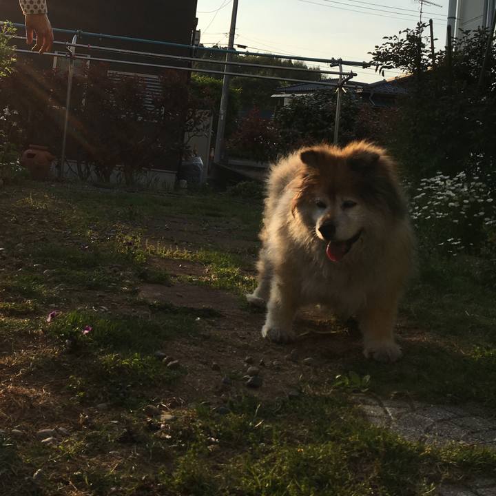 De694308 facc 48f6 b77d d8c6ce19b4f7 1558944683316