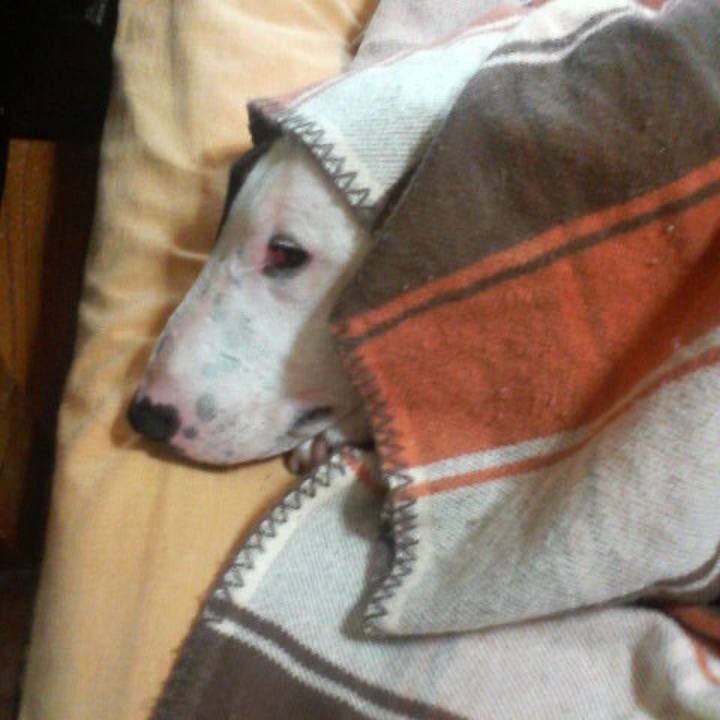 De6955cc 1eaf 4644 a9ed 1c941ea3c0bf 1526392398191