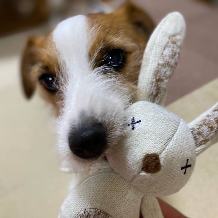 De6982cf a3c1 48bf b7aa 5b7e256c6061 1658060743256