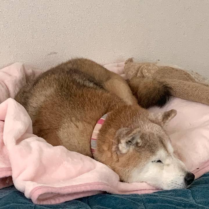 De698446 16d9 4be9 ae4f 2eb409be4f40 1676765090824