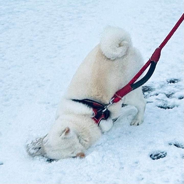 De6989e0 ec2d 4b57 b6e7 ac5be7f44ea5 1762554487936