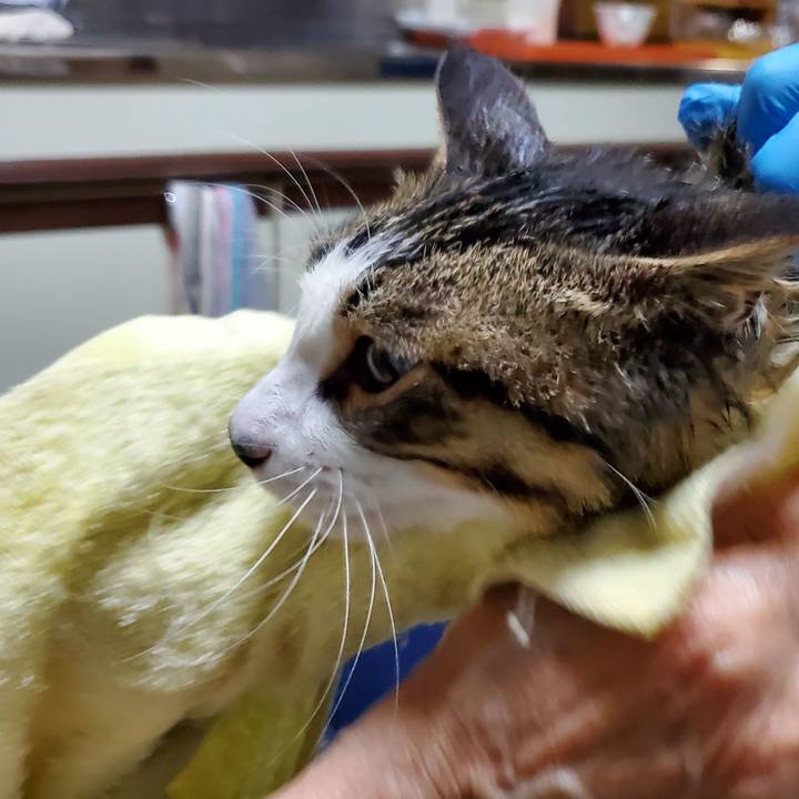 De698feb b43b 4195 9df1 9b90925a3042 1735301782985