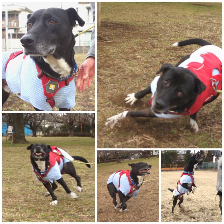 De69b42c 34d9 40fd a36e 40ff3a50d400 1674794885340