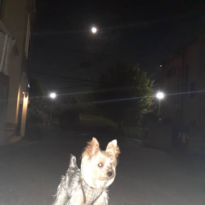 De69b6e9 0483 43ea a29a f19fd3e9fa23 1695984855073