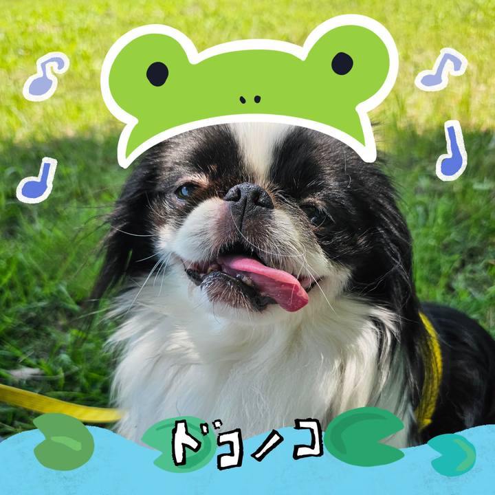 De69e807 4a19 49f6 bce3 df893214a231 1717984239293