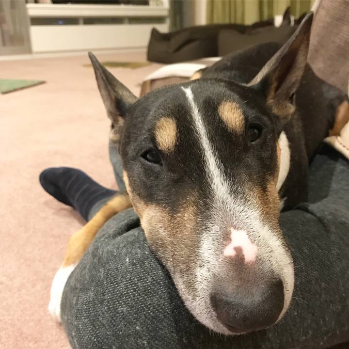 De69edad 1476 4e64 8222 ef64156013e5 1512648942548