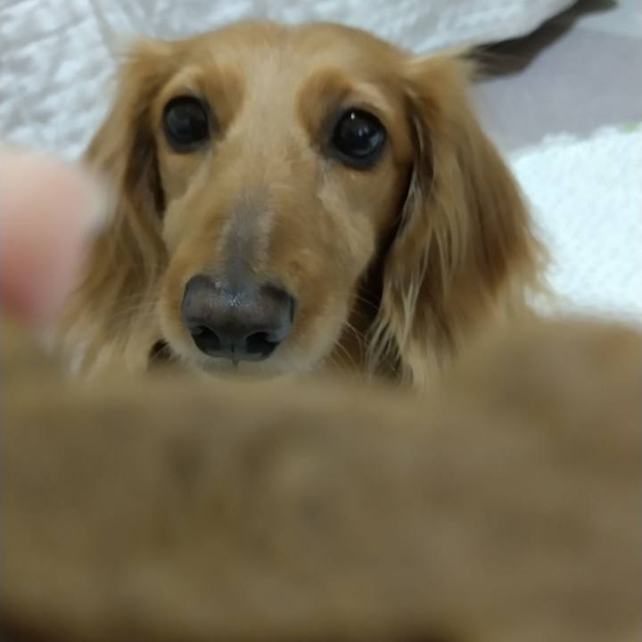 De6a86e4 f0d0 451f 8478 ebf25d886a9b 1652449542945