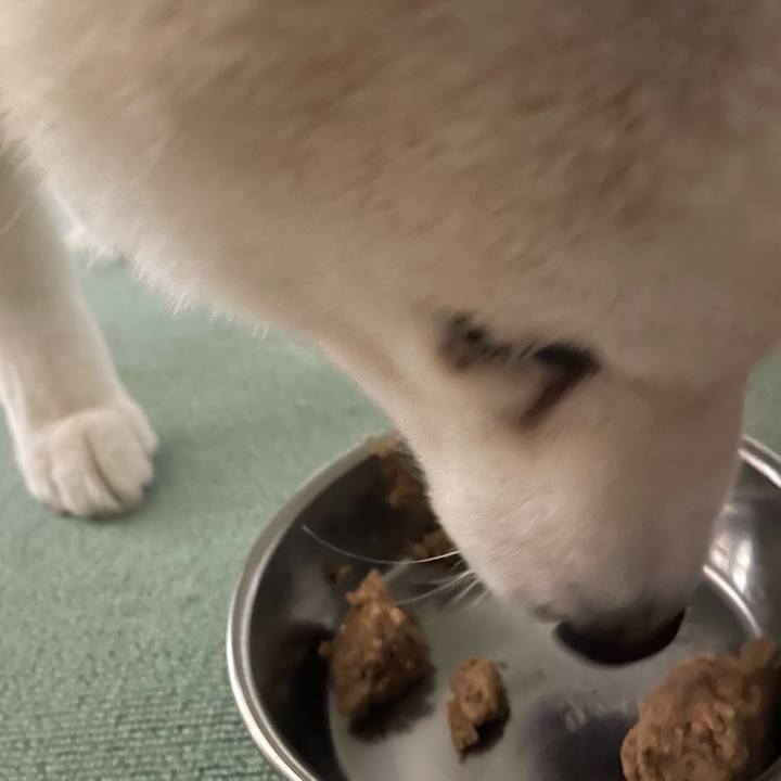 De6a910c 7bfc 4b05 b949 06303728a991 1736341720100