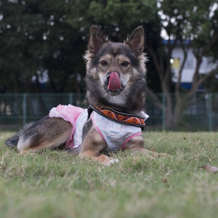 De6a9fdc df0c 42e4 9585 b9e653f431a7 1533552695073