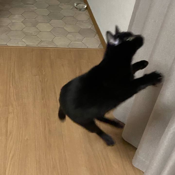 De6abeef acf3 4d7c 9fce de3e85f1bf47 1619958885812