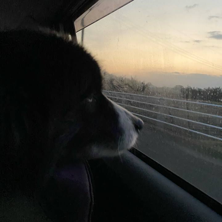 De6acfe3 7cd4 48fb a605 b04a68248d03 1675288707490