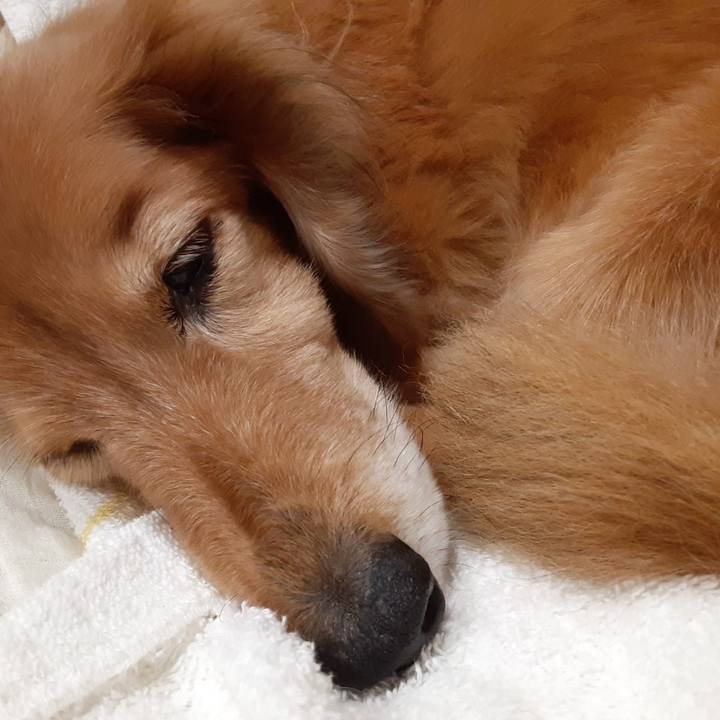 De6ae0a3 5d71 4d60 a4d9 a17dd30df043 1667046606497