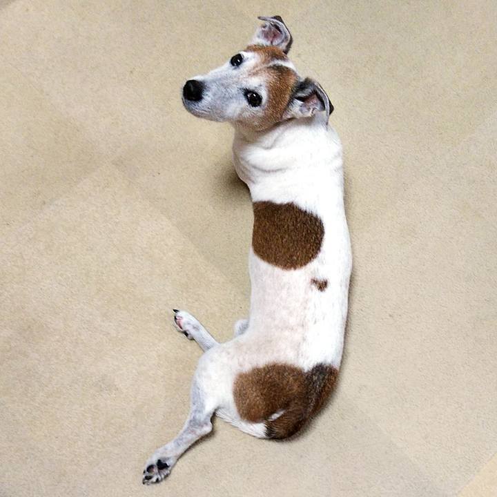 De6b0c5c 7a1f 4195 b967 9f4b31df05c1 1571555023506