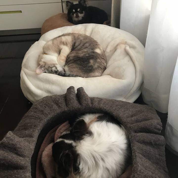 De6b1c92 bb06 48dd 92ec 5f2f29b49efa 1518233304867