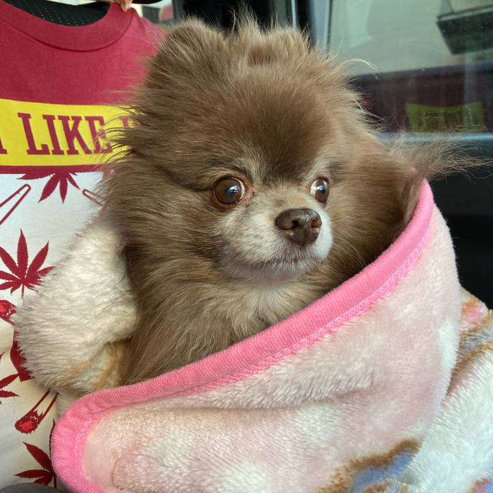 De6b395e 5fdb 4936 aa23 e077c4cb7882 1677968874739