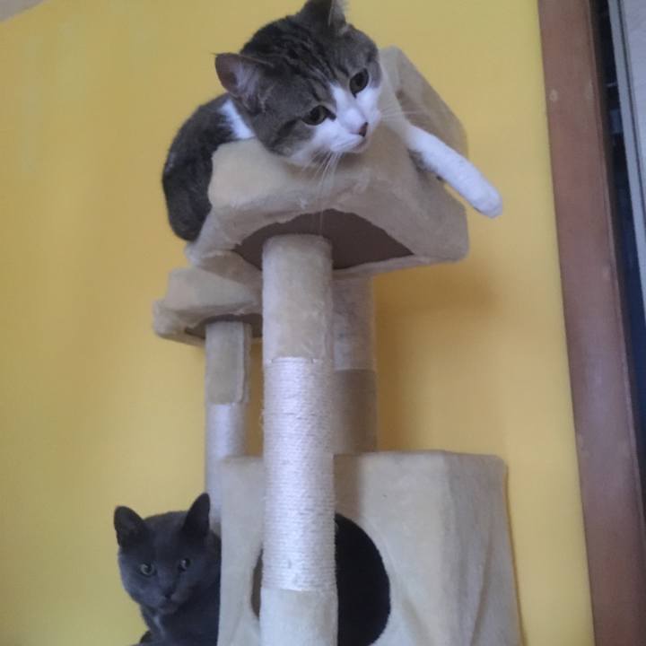 De6b3c24 2237 4b4d 815c dd46e29a8ff8 1633395497712