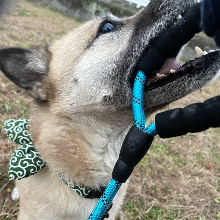 De6b3d53 0f94 4c32 97da 4da3e43e9b49 1674131799960