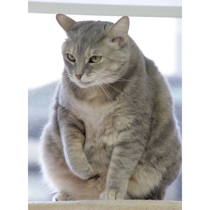 De6b4277 ad8b 435e a4dd 368edd9a7173 1611129936552