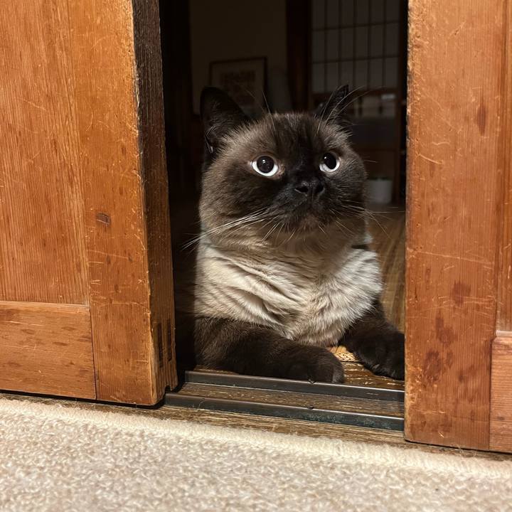 De6b5fb1 013b 4f10 a7ee 11e4854260e7 1657885034287