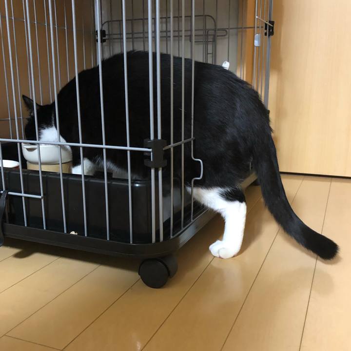 De6b6791 ae46 4fa6 9359 1404da68ac8d 1548554036475