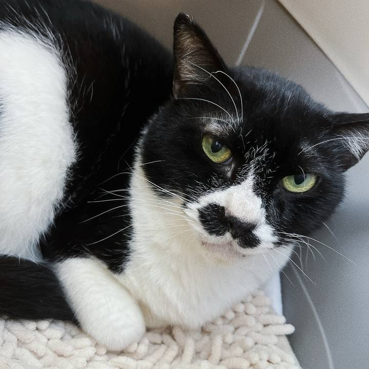 De6b9b98 66b8 4fca 9ff7 2b4ec54ef950 1714604130798