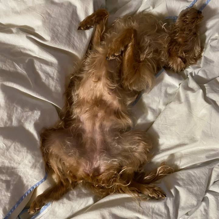 De6babc2 a5e3 458e a0c2 c926bc61b68c 1655155391649