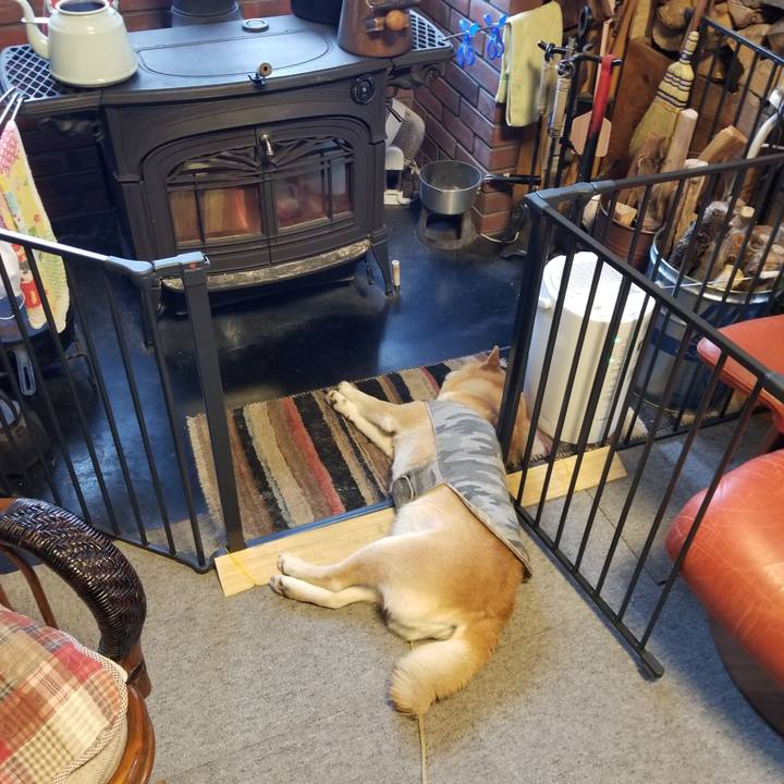 De6bcbb3 59ce 4299 aa5b 9c4311d595f8 1644738216861