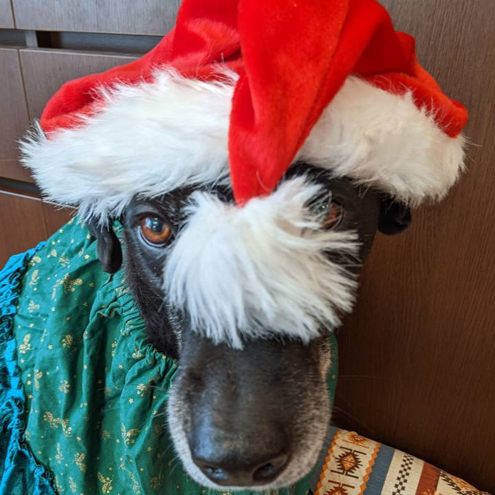 De6bee4c 162b 4659 a04e c3e1a47bf045 1703140621618