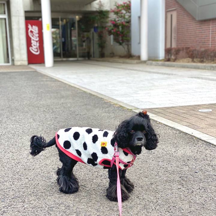 De6bfc0b 846a 451b b949 04a20c9b0657 1579684161524