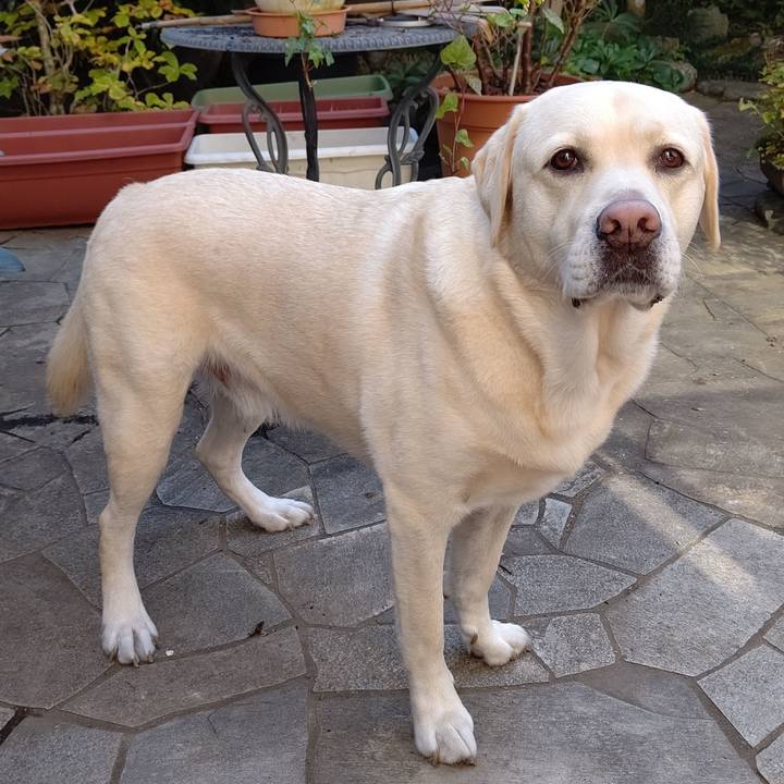 De6c17cc 31a1 4e9e b05a d30c3073d5ed 1604456715662