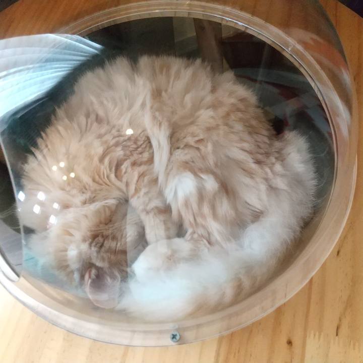 De6c2fff db3c 4a7d b321 1dd9711abf98 1630639604217