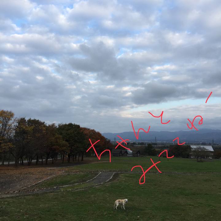 De6c3a71 e736 468f 8030 bd0694d49385 1560299055062